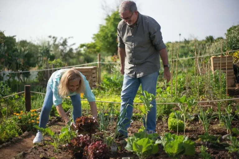 preparer-terrain-potager